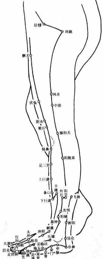 人體穴位圖，從頭到腳都標(biāo)的一清二楚