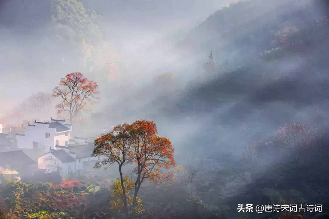 學一個成語記一首詩詞，領(lǐng)略經(jīng)典的魅力！