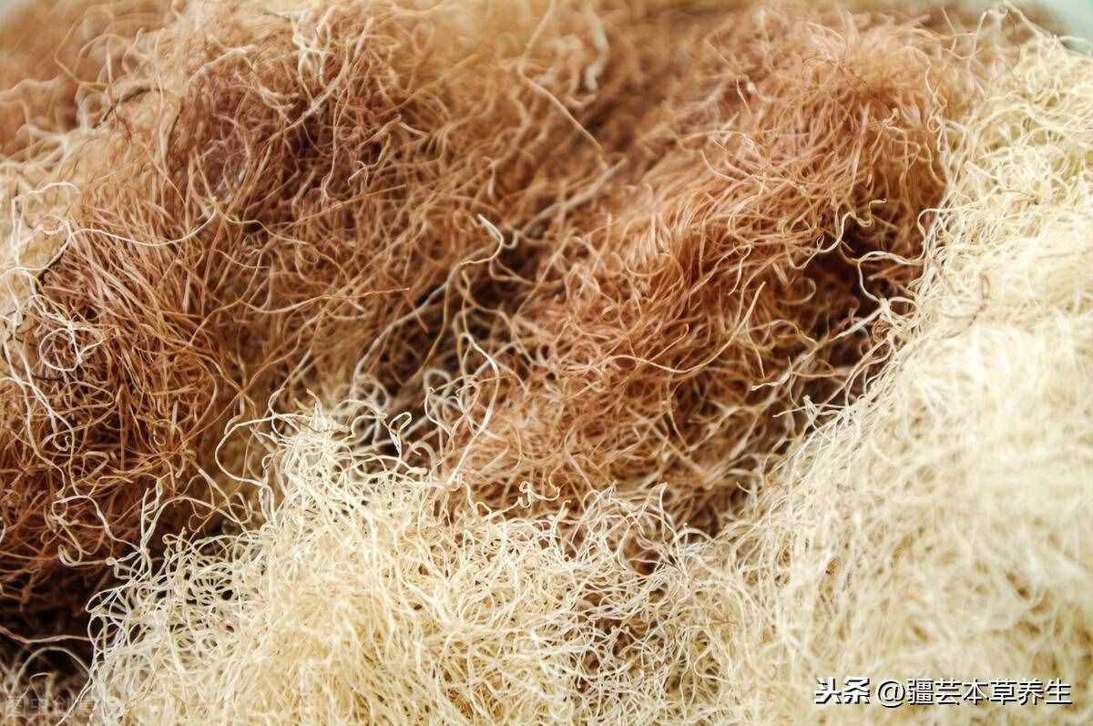 玉米須怎么煮水喝，搭配什么泡茶喝更健康