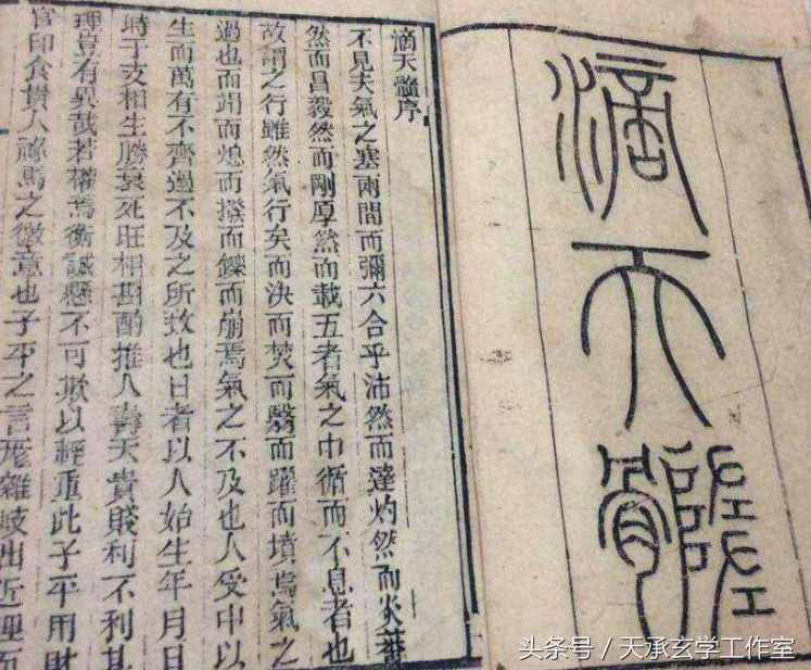 人間格理：藤蘿系甲，乙木日主的好運密碼