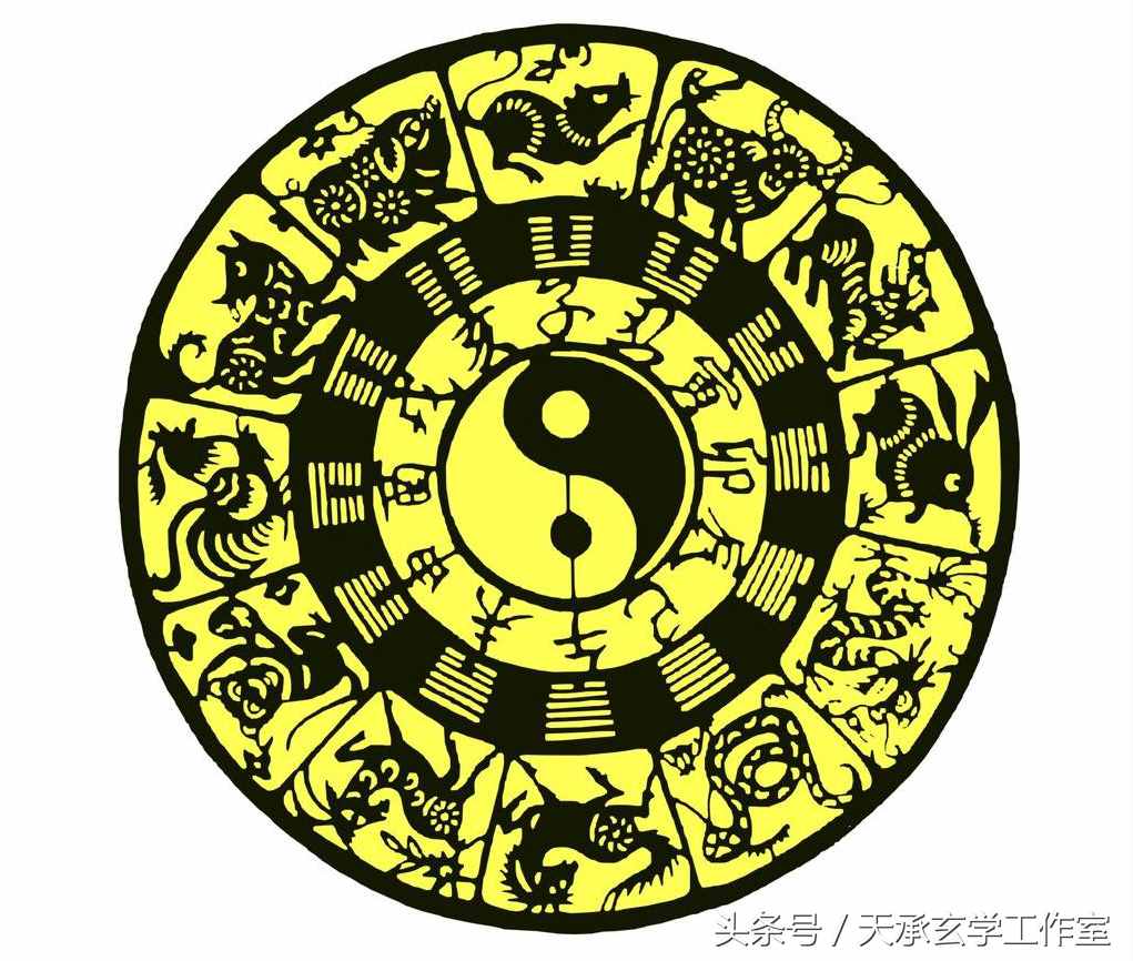 人間格理：藤蘿系甲，乙木日主的好運密碼