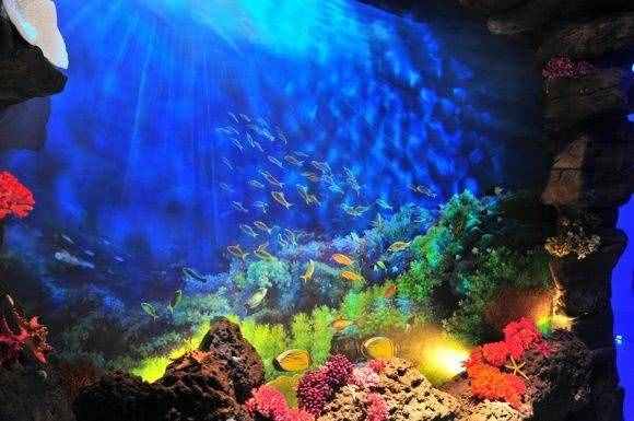 深圳5A級(jí)東部華僑城大峽谷，最新門票曝光，你還想要吐槽嗎