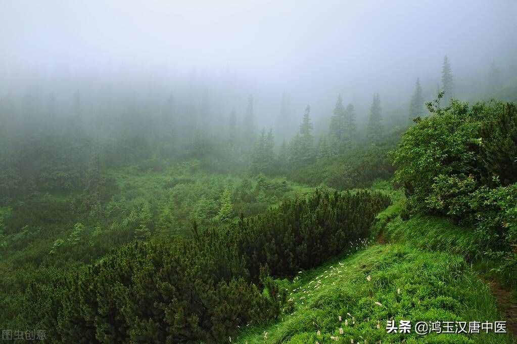 記住陰陵泉這個穴位，可以輕松去除你身上的濕氣