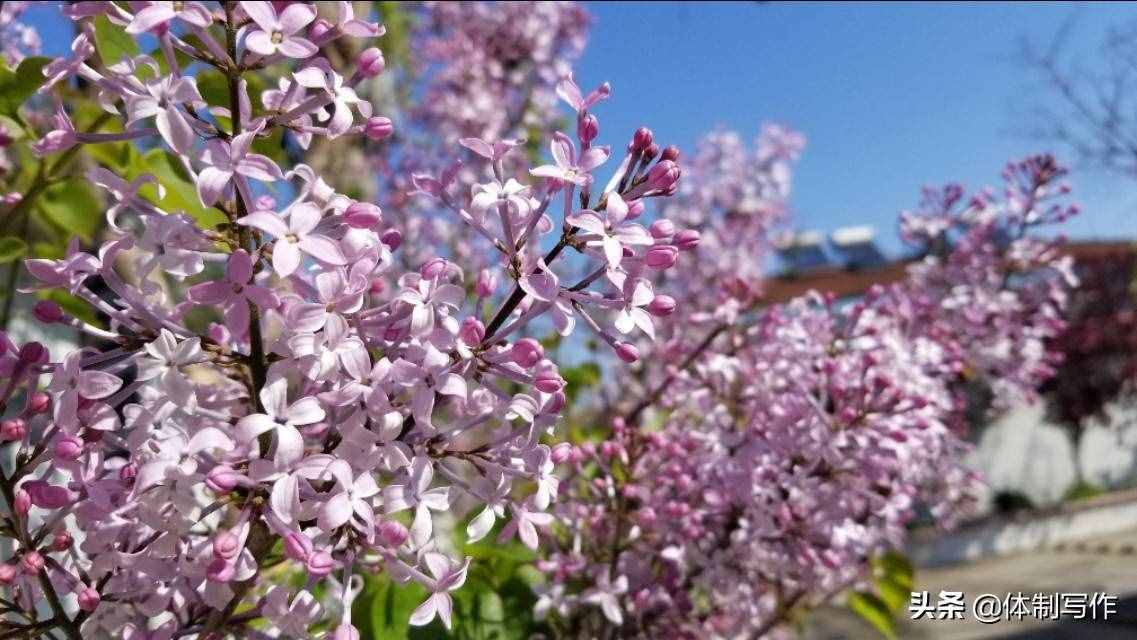 個人簡歷自我評價100字(十篇)