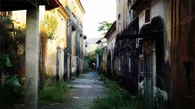 深圳最后的原始凈土——壩光村