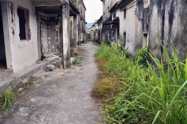 深圳最后的原始凈土——壩光村