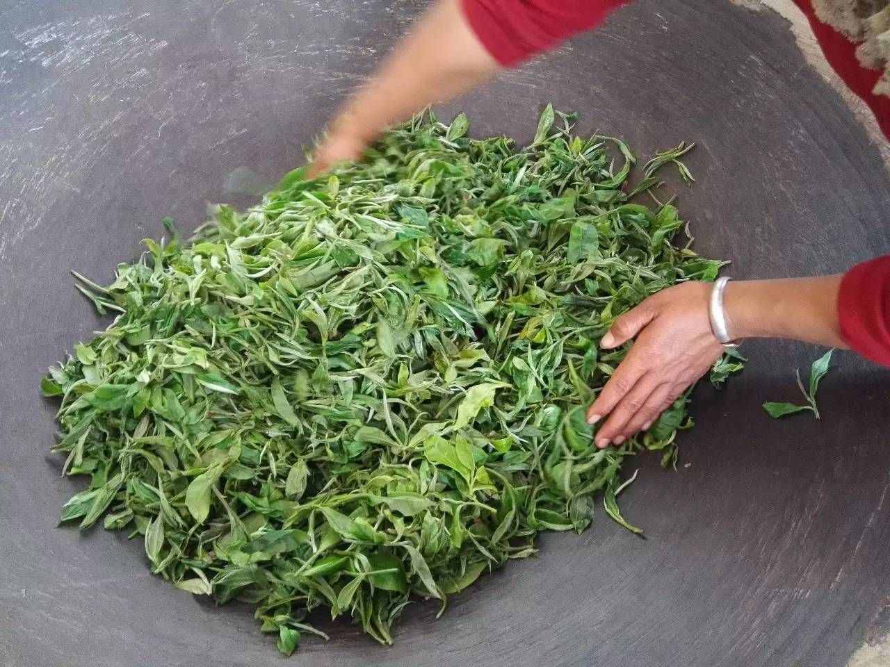 揭秘綠茶內(nèi)幕！不能不知綠茶工藝分類