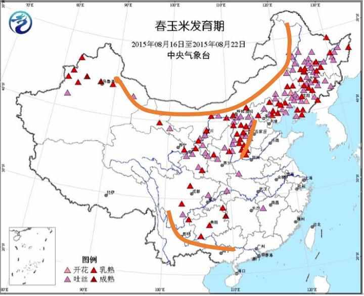 大起底：中國玉米的歷史變遷