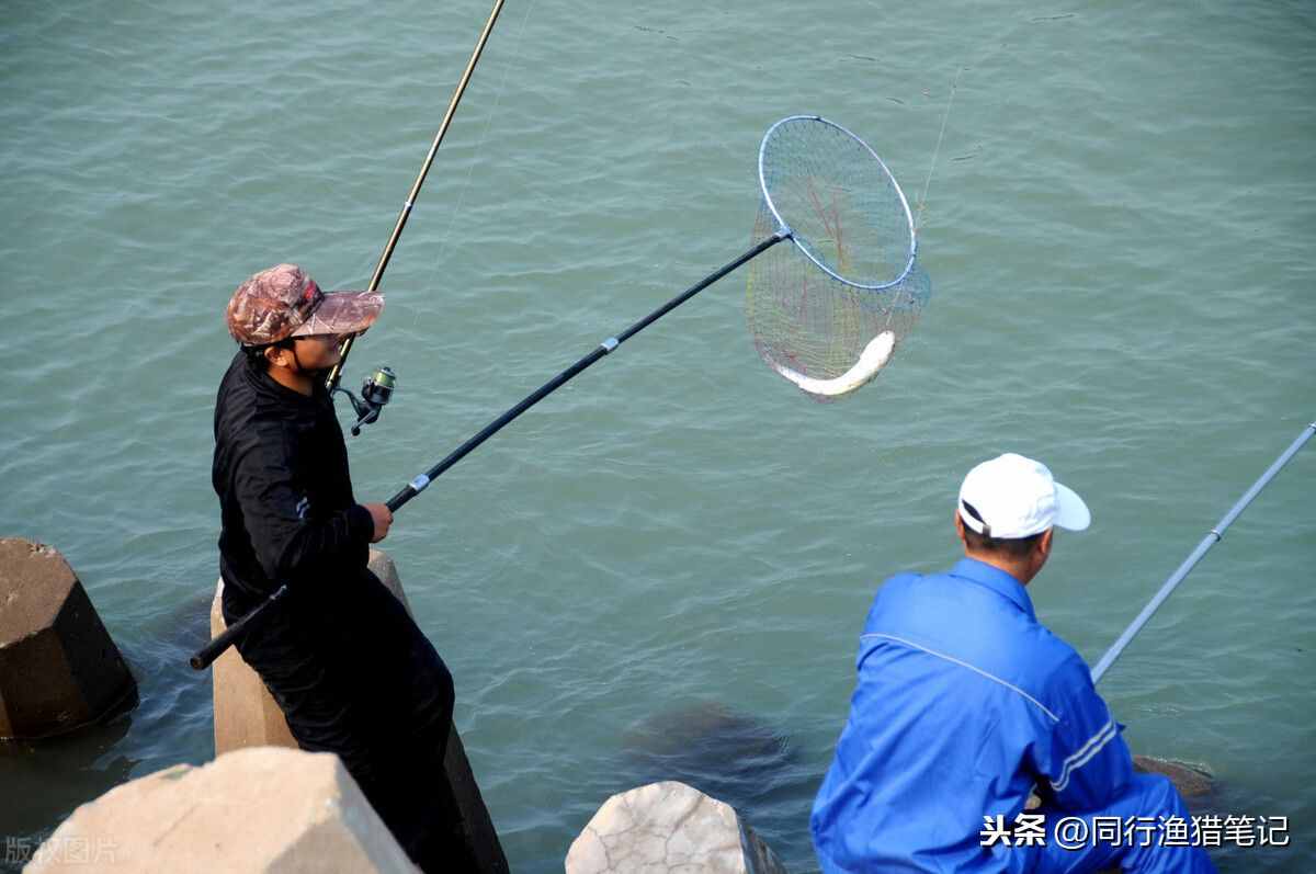 海竿的安裝、使用及垂釣方法，通俗易懂，建議收藏