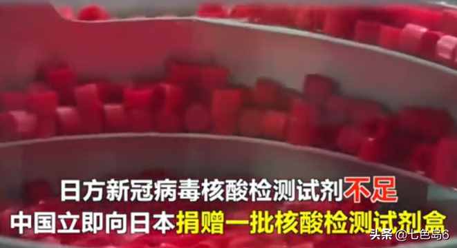 “投我以木桃，報(bào)之以瓊瑤”出自何處？