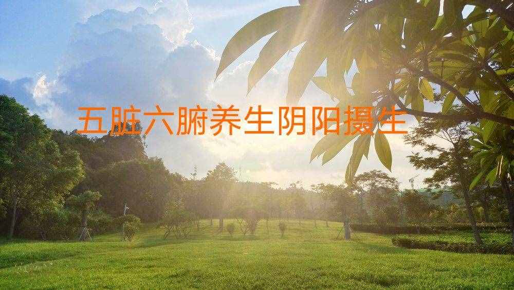 五臟六腑養(yǎng)生 陰陽(yáng)攝生