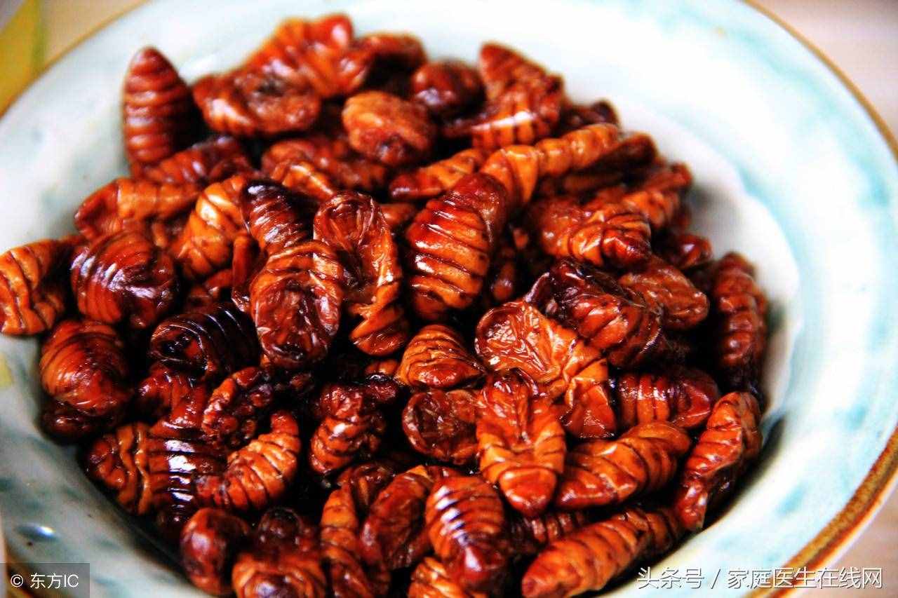 蠶蛹雖賣相不好，這5大營(yíng)養(yǎng)價(jià)值，一般的食物都比不上