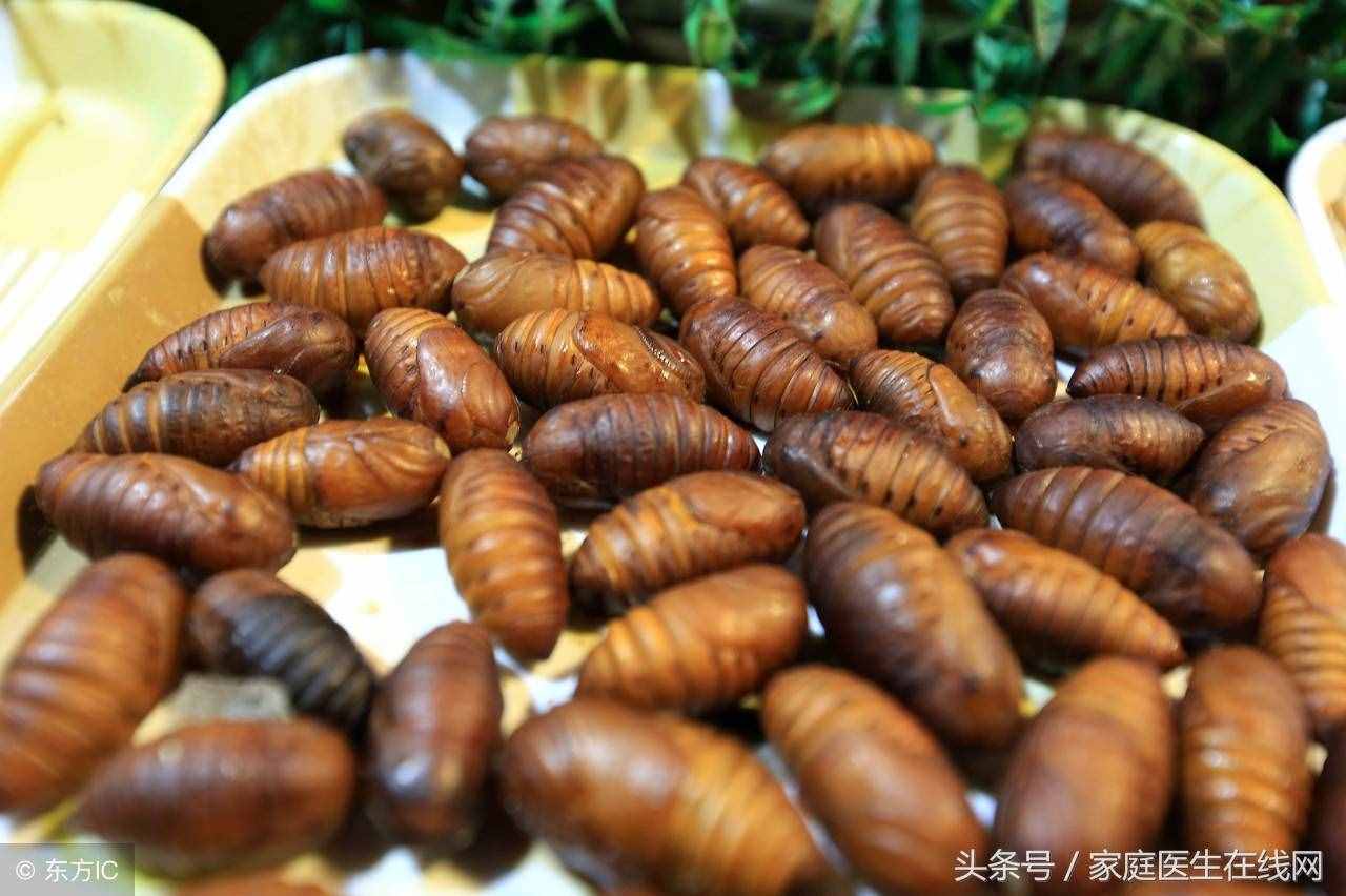 蠶蛹雖賣相不好，這5大營(yíng)養(yǎng)價(jià)值，一般的食物都比不上