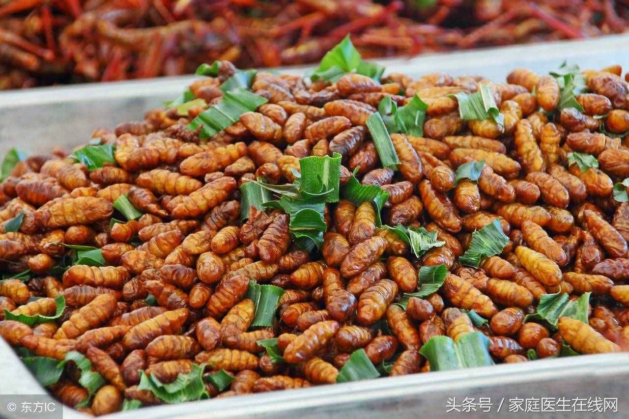 蠶蛹雖賣相不好，這5大營(yíng)養(yǎng)價(jià)值，一般的食物都比不上