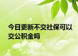 今日更新不交社?？梢越还e金嗎