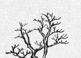 今日更新易筋經(jīng)圖解（易筋經(jīng)的秘密）