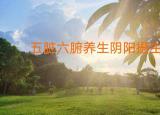 今日更新中醫(yī)五臟養(yǎng)生（五臟六腑養(yǎng)生）