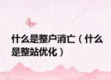 什么是整戶消亡（什么是整站優(yōu)化）