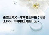 南望王師又一年中的王師指（南望王師又一年中的王師指什么）