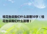 桂花告訴我們什么道理50字（桂花告訴我們什么道理）