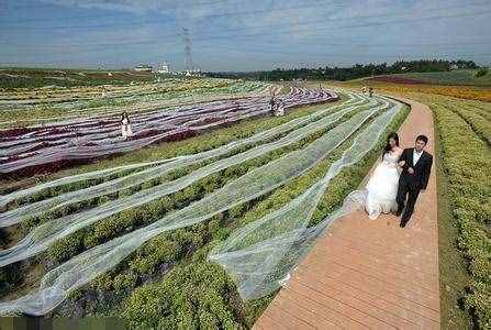 看完世界最長、最壯觀的婚紗，你就知道你的婚紗有多小兒科了！