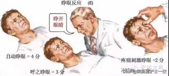 意識(shí)障礙病人的評(píng)估