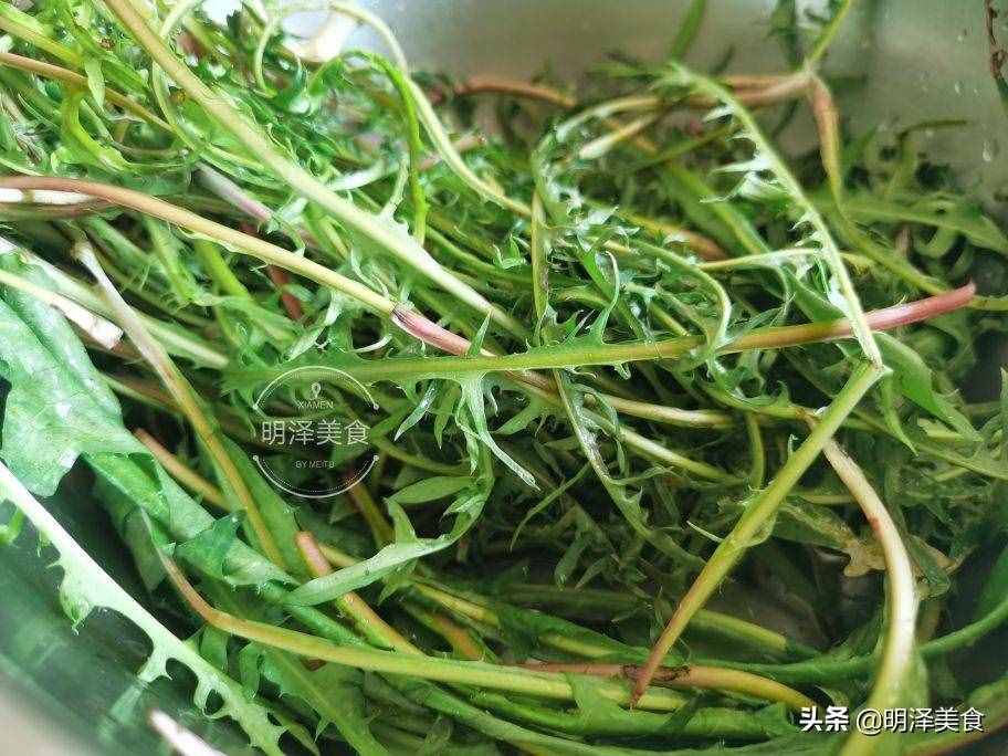 蒲公英即是中藥又是野菜，生吃做餡都可以，包餃子吃太香了