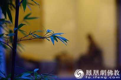 不吃不喝十幾天 揭秘高僧打坐入定的秘密