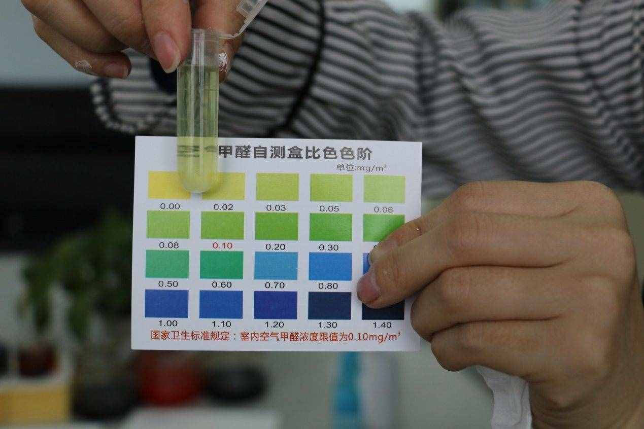 裝修完必須晾半年？這樣做可以快速除甲醛，提前兩個月住新房
