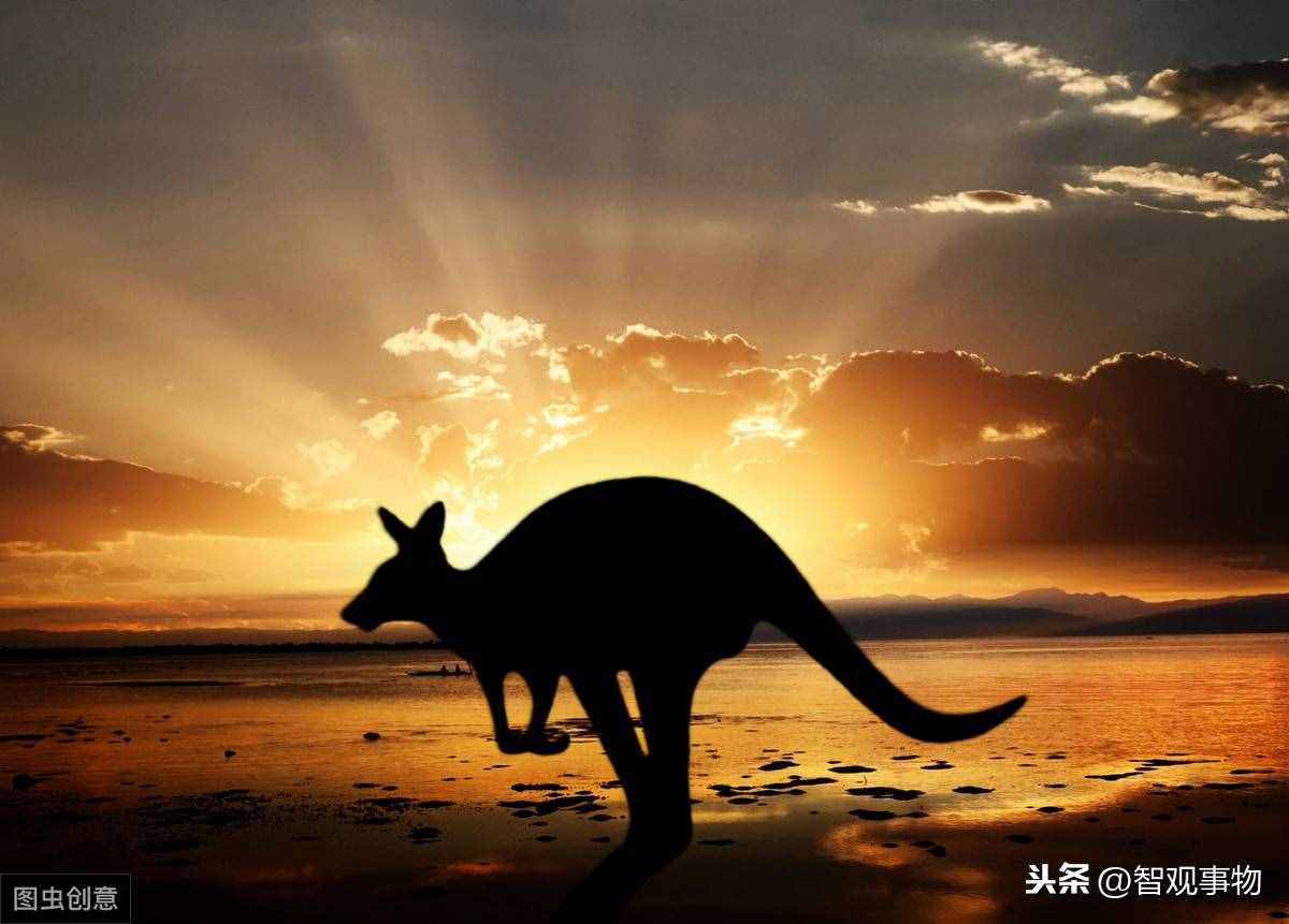 舌尖上的世界，世界 旅游美食地圖推薦——袋鼠之國，澳大利亞