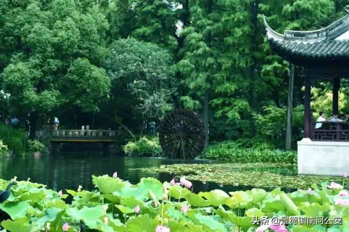 詩詞｜8首夏日田園詩，梅子熟時，花開半夏，美到心醉