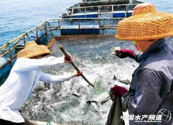 想要發(fā)展深遠(yuǎn)海養(yǎng)殖，未來還需要哪些技術(shù)？