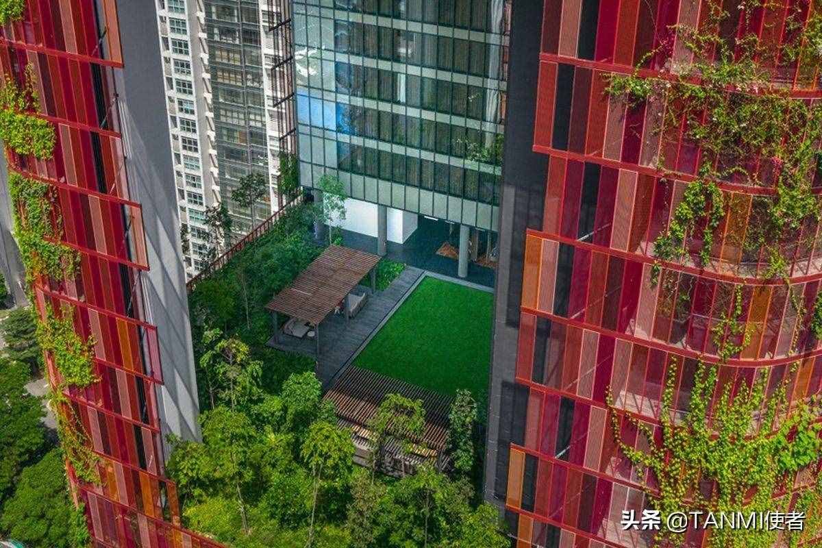 成都網(wǎng)紅小區(qū)“空中森林”，房屋被植物覆蓋，夏天不招蚊子嗎？
