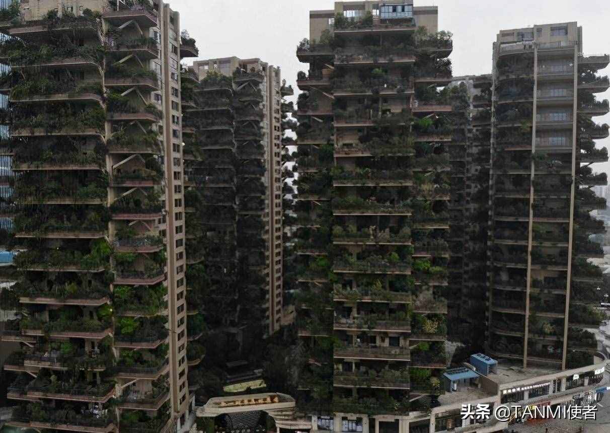 成都網(wǎng)紅小區(qū)“空中森林”，房屋被植物覆蓋，夏天不招蚊子嗎？