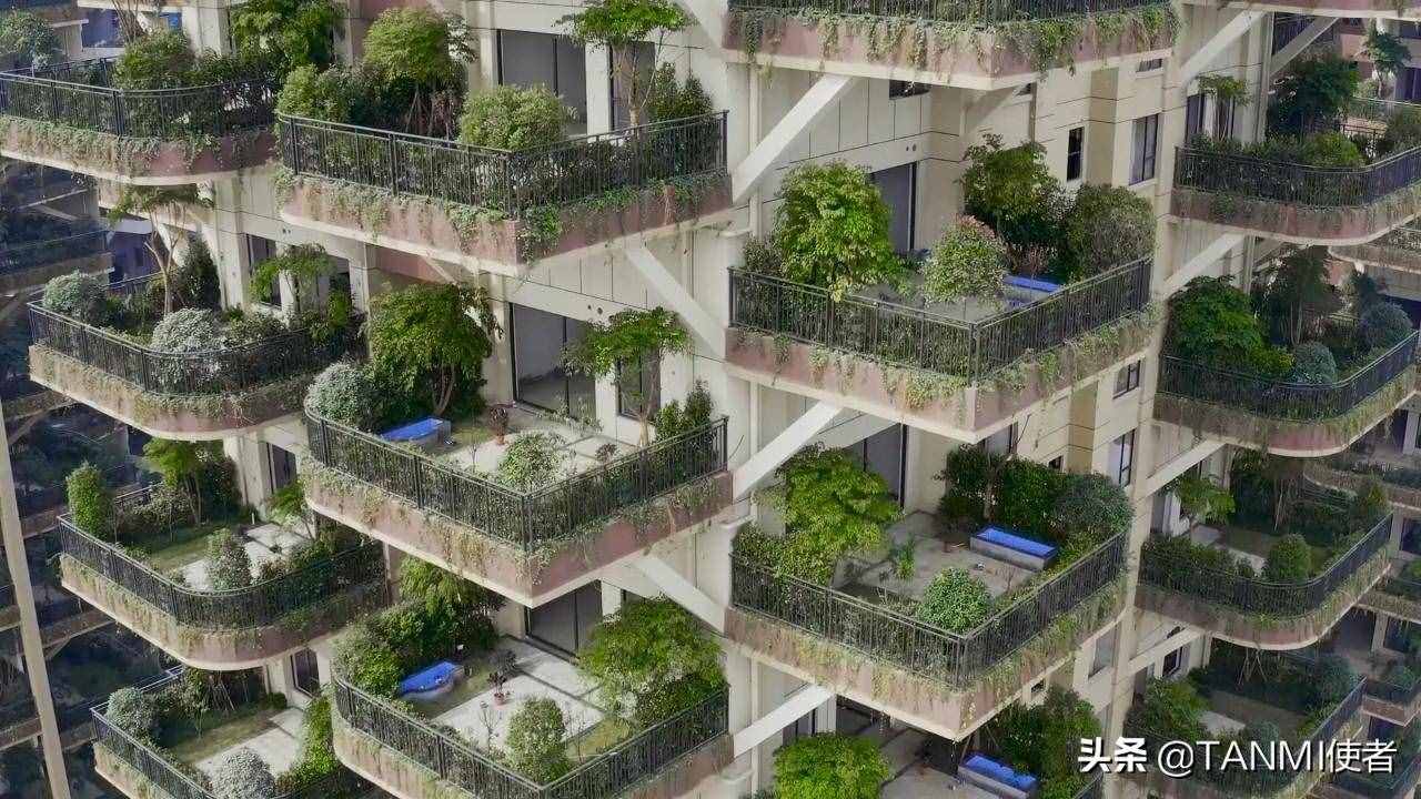 成都網(wǎng)紅小區(qū)“空中森林”，房屋被植物覆蓋，夏天不招蚊子嗎？