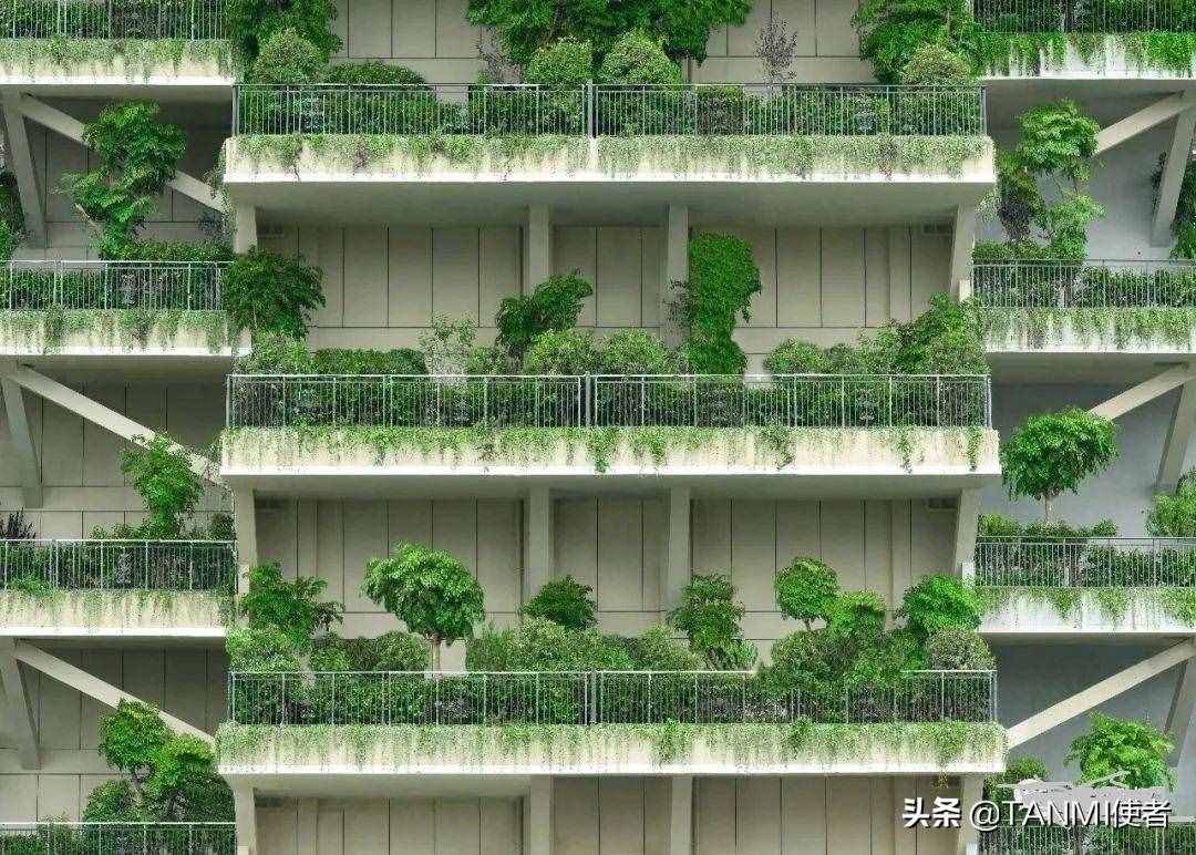 成都網(wǎng)紅小區(qū)“空中森林”，房屋被植物覆蓋，夏天不招蚊子嗎？