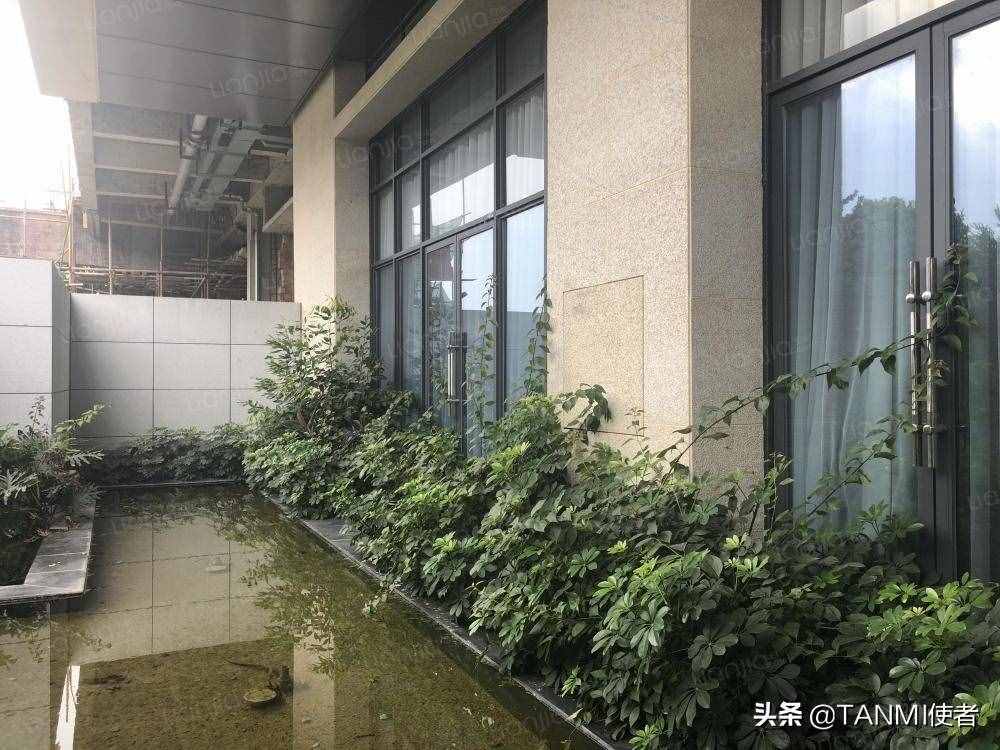 成都網(wǎng)紅小區(qū)“空中森林”，房屋被植物覆蓋，夏天不招蚊子嗎？