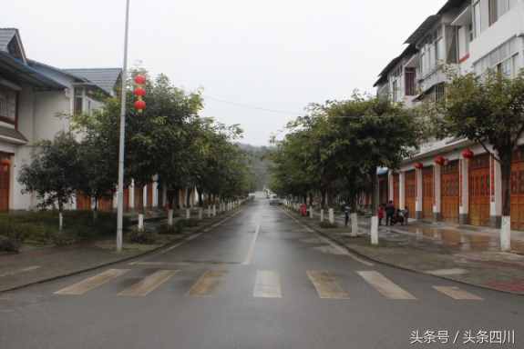 綿陽市愛國(guó)衛(wèi)生工作總體情況
