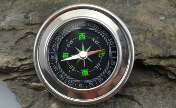 如果你在野外迷了路，先別急，好好利用這些大自然的指南針