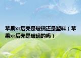 蘋果xr后殼是玻璃還是塑料（蘋果xr后殼是玻璃的嗎）