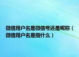 微信用戶名是微信號還是昵稱（微信用戶名是指什么）