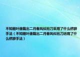 不知細葉誰裁出二月春風似剪刀采用了什么修辭手法（不知細葉誰裁出二月春風似剪刀運用了什么修辭手法）