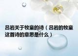 呂巖關于牧童的詩（呂巖的牧童這首詩的意思是什么）