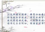 今日更新課外活動總結（讀書活動總結）
