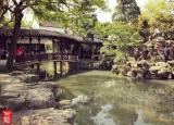 今日更新蘇州獅子林門票（拙政園和獅子林哪個(gè)好玩）