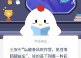 今日更新縱被春風(fēng)吹作雪（縱被春風(fēng)吹）