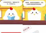 今日更新藕斷絲連的絲（藕斷絲連的絲作用是什么）