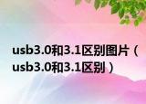 usb3.0和3.1區(qū)別圖片（usb3.0和3.1區(qū)別）