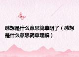 感想是什么意思簡(jiǎn)單明了（感想是什么意思簡(jiǎn)單理解）