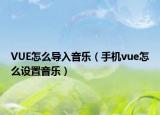 VUE怎么導(dǎo)入音樂(lè)（手機(jī)vue怎么設(shè)置音樂(lè)）